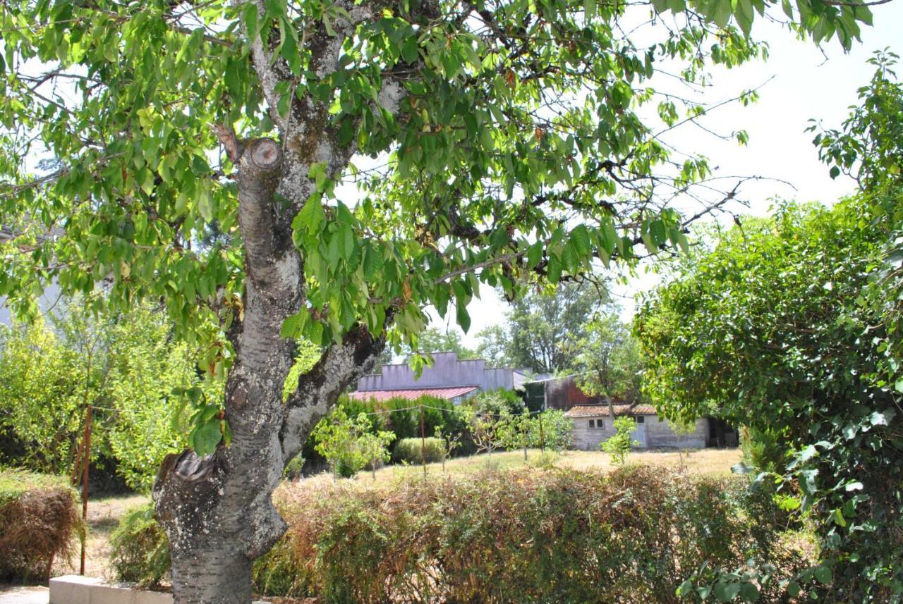 Maison 6 Personnes - Grand Jardin Arbore Villa Noyers-sur-Cher Kültér fotó